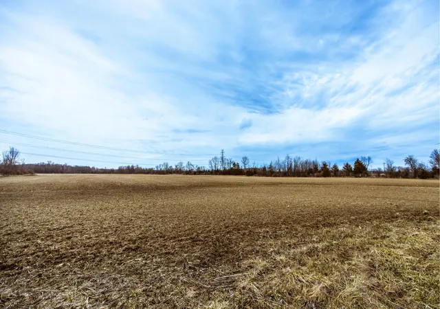Photo 4 of Land for sale at Vacant Indian Trl Rd, Ray, MI 48096 | MLS# 50202588 | Listing updated on 2026-05-08