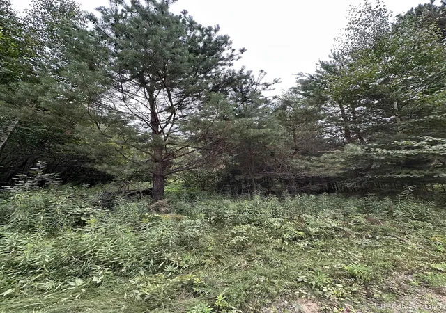 Photo 2 of Land for sale at Tbd Smoky Lake Rd, Iron River, MI 49935 | MLS# 50218647 | Listing updated on 2026-08-21