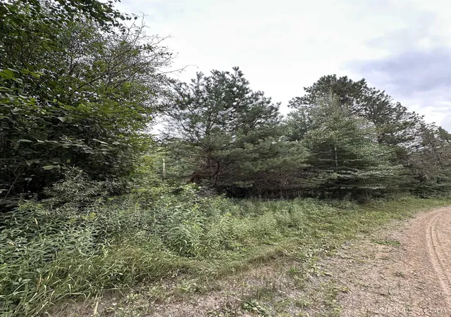 Photo 3 of Land for sale at Tbd Smoky Lake Rd, Iron River, MI 49935 | MLS# 50218647 | Listing updated on 2026-08-21