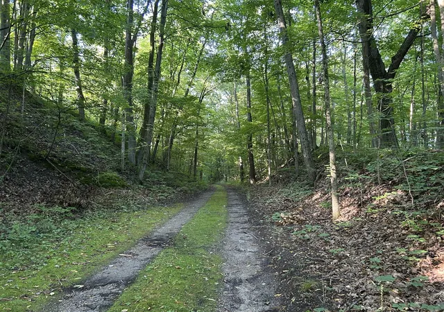 3rd image of 5300 Lammers Rd, Hastings, MI 49058 | MLS# 70553224