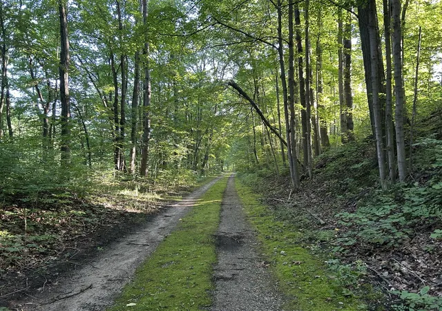 55th image of 5300 Lammers Rd, Hastings, MI 49058 | MLS# 70553224