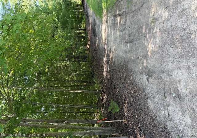 Photo 2 of Land for sale at 0000 Acorn Lane, Prescott, MI 48756 | MLS# 61025721 | Listing updated on 2026-08-29