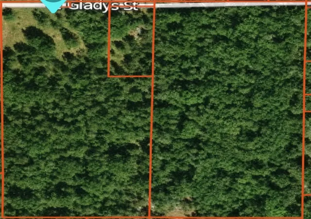 4th image of 2597 E Gladys St, Idlewild, MI 49642 | MLS# 70545098