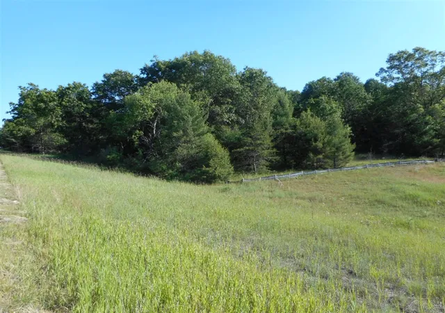 Photo 3 of Land for sale at 2322 Grant Hwy, Manistee, MI 49660 | MLS# 70444719 | Listing updated on 2026-04-25