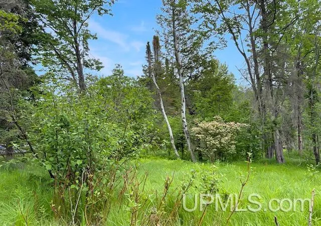 Homes for sale in Crystal Falls, MI | 217 E Lake Emily Rd, Crystal Falls, MI 49920 | MLS# 50207003