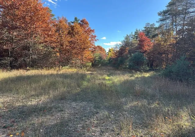 Photo 1 of Land for sale at 58 Acres E Cranberry Lake Rd, Harrison, MI 48625 | MLS# 50192221 | Listing updated on 2026-09-14