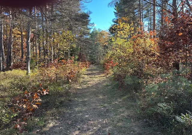 Photo 3 of Land for sale at 58 Acres E Cranberry Lake Rd, Harrison, MI 48625 | MLS# 50192221 | Listing updated on 2026-09-14