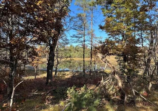 Photo 4 of Land for sale at 58 Acres E Cranberry Lake Rd, Harrison, MI 48625 | MLS# 50192221 | Listing updated on 2026-09-14
