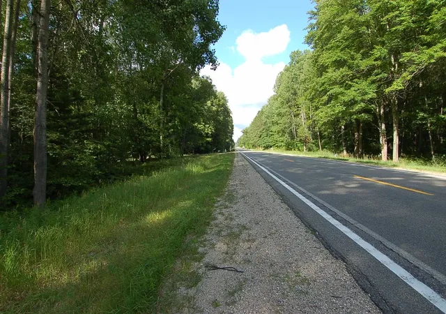 Photo 1 of Land for sale at 6800 S M 37, Harrietta, MI 49638 | MLS# 80072882 | Listing updated on 2026-09-04