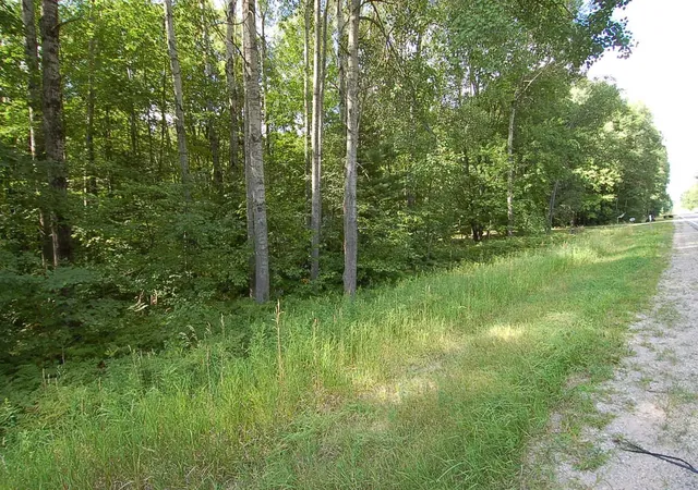 Photo 2 of Land for sale at 6800 S M 37, Harrietta, MI 49638 | MLS# 80072882 | Listing updated on 2026-09-04