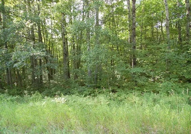 Photo 3 of Land for sale at 6800 S M-37, Harrietta, MI 49638 | MLS# 80072882 | Listing updated on 2026-09-04