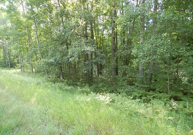 Photo 4 of Land for sale at 6800 S M-37, Harrietta, MI 49638 | MLS# 80072882 | Listing updated on 2026-09-04