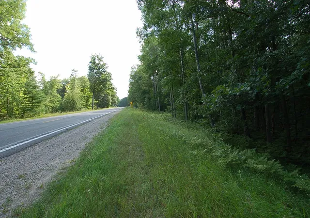 Photo 6 of Land for sale at 6800 S M-37, Harrietta, MI 49638 | MLS# 80072882 | Listing updated on 2026-09-04