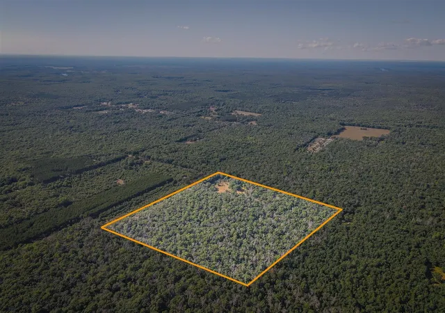 1st image of W 10 Mile Rd, Irons, MI 49644 | MLS# 70553839