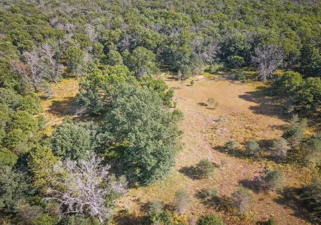 3rd image of W 10 Mile Rd, Irons, MI 49644 | MLS# 70553839