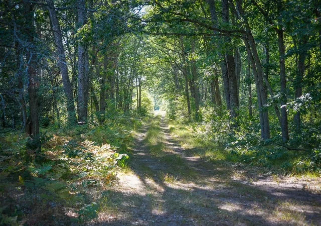 42nd image of W 10 Mile Rd, Irons, MI 49644 | MLS# 70553839