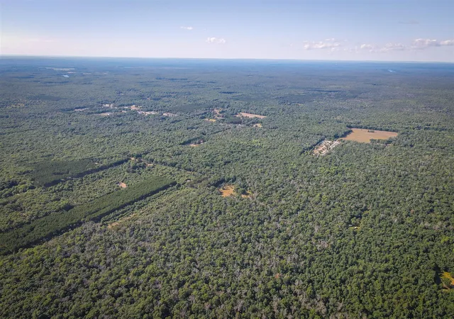 4th image of W 10 Mile Rd, Irons, MI 49644 | MLS# 70553839