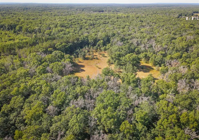 5th image of W 10 Mile Rd, Irons, MI 49644 | MLS# 70553839