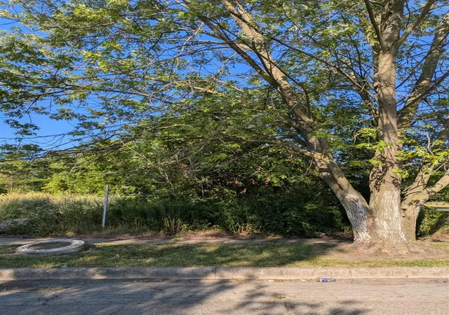 Land for sale at 4159 Roosevelt St, Detroit, MI 48208-2330 | MLS# 70549191