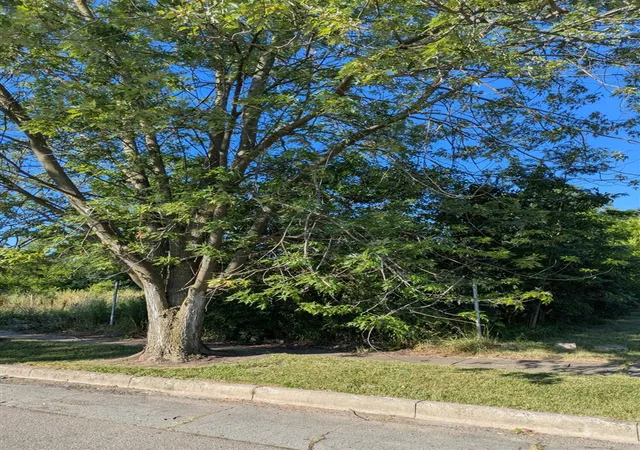 Photo 2 of Land for sale at 4159 Roosevelt St, Detroit, MI 48208 | MLS# 70549191 | Listing updated on 2026-08-27