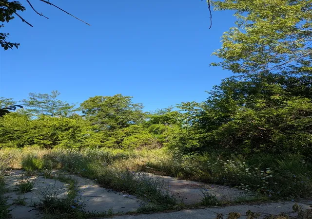 Photo 3 of Land for sale at 4159 Roosevelt St, Detroit, MI 48208 | MLS# 70549191 | Listing updated on 2026-08-27