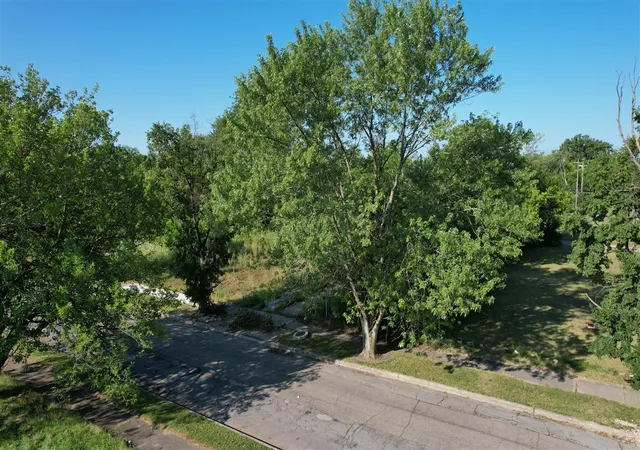 Photo 3 of Land for sale at 4159 Roosevelt St, Detroit, MI 48208 | MLS# 70549191 | Listing updated on 2026-08-27