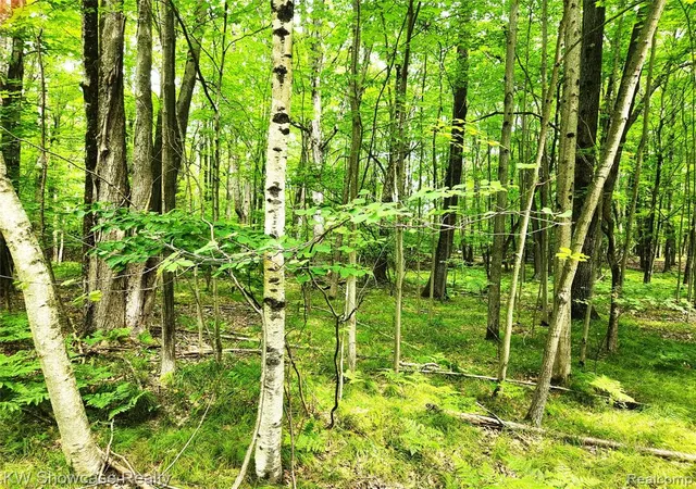 1st image of 000 Red Fox Run, Farwell, MI 48622 | MLS# 60931069