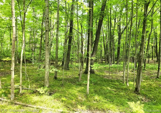 2nd image of 000 Red Fox Run, Farwell, MI 48622 | MLS# 60931069