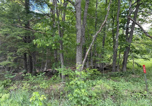 3rd image of Tbd N Carlshend Rd, Skandia, MI 49885 | MLS# 50212876