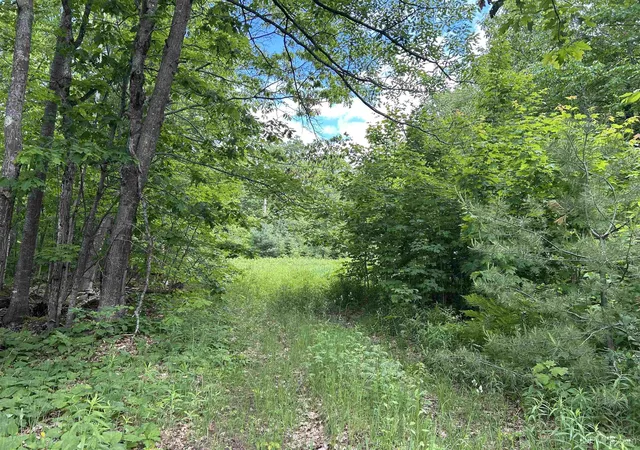 4th image of Tbd N Carlshend Rd, Skandia, MI 49885 | MLS# 50212876