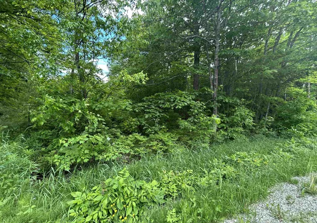 5th image of Tbd N Carlshend Rd, Skandia, MI 49885 | MLS# 50212876
