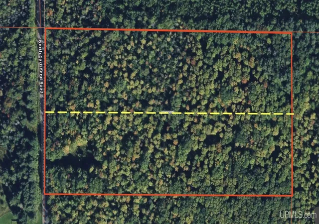 6th image of Tbd N Carlshend Rd, Skandia, MI 49885 | MLS# 50212876