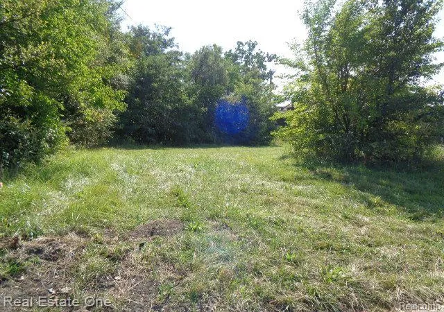 3rd image of 416 Harper Ave, Detroit, MI 48202 | MLS# 60261283