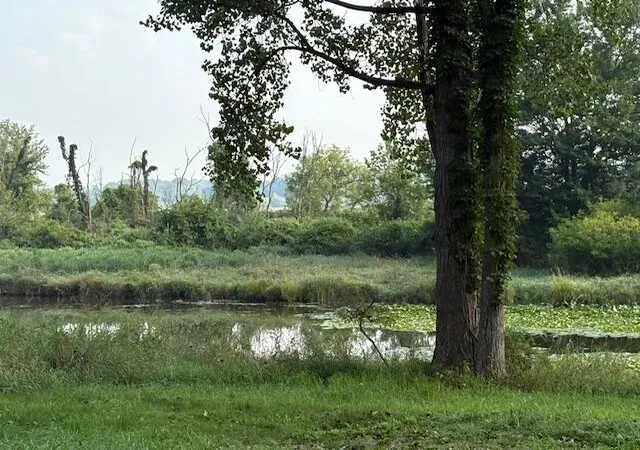 Photo 2 of Land for sale at 27 1/2 Mile Rd, Albion, MI 49224 | MLS# 70486704 | Listing updated on 2025-08-08