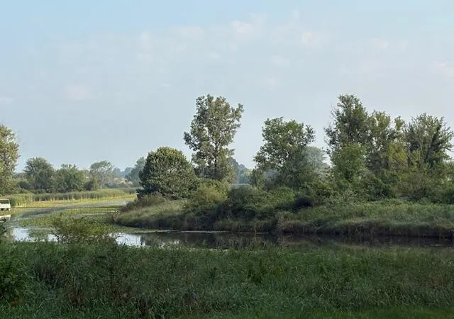 Photo 3 of Land for sale at 27 1/2 Mile Rd, Albion, MI 49224 | MLS# 70486704 | Listing updated on 2025-08-08