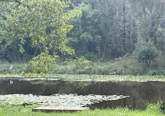 Photo 3 of Land for sale at 27 1/2 Mile Rd, Albion, MI 49224 | MLS# 70486704 | Listing updated on 2025-08-08