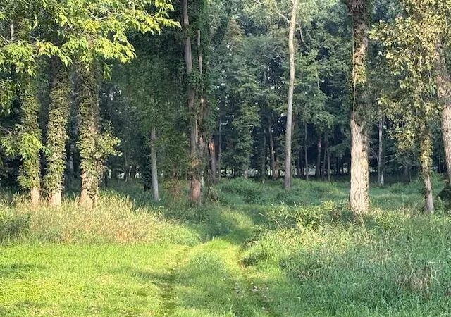 Photo 4 of Land for sale at 27 1/2 Mile Rd, Albion, MI 49224 | MLS# 70486704 | Listing updated on 2025-08-08