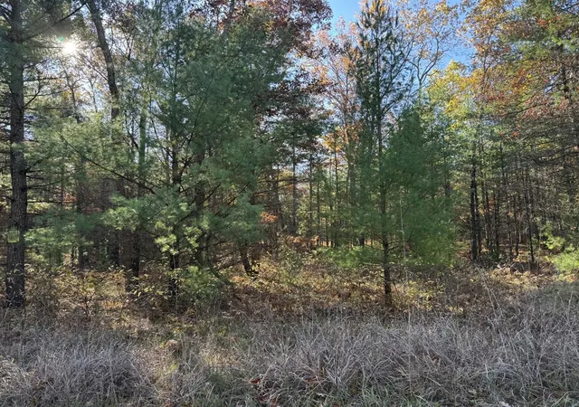 Photo 3 of Land for sale at Parcel 2 County Line Rd, Free Soil, MI 49411 | MLS# 70519665 | Listing updated on 2026-09-21