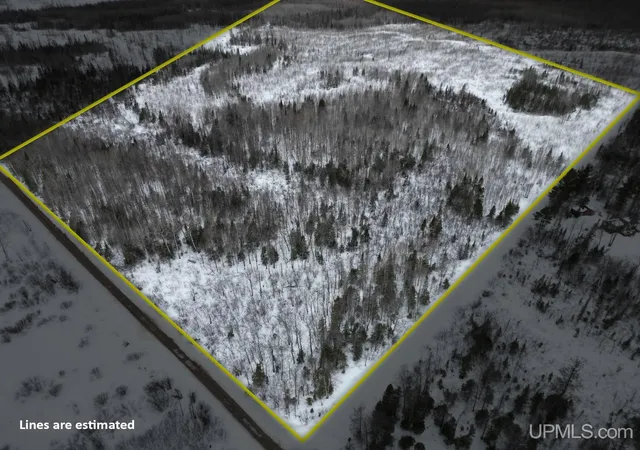 Homes for sale in Rock, MI | Tbd N Rock 38Th Rd Se 40 Rd, Rock, MI 49880 | MLS# 50202427