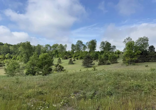Homes for sale in Maple City, MI | A4 Kasson Rd, Maple City, MI 49664 | MLS# 80069556