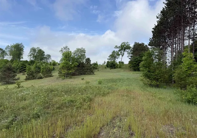 Homes for sale in Maple City, MI | A4 Kasson Rd, Maple City, MI 49664 | MLS# 80069556