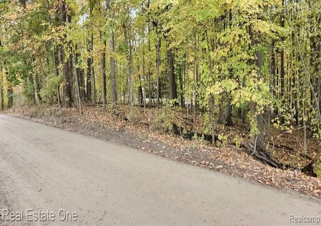 1st image of 0000 Curtis Rd Curtis Rd, Leonard, MI 48367 | MLS# 61002979