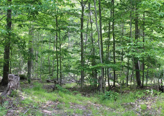Homes for sale in Munising, MI | Off St Martin Hill St, Munising, MI 49862 | MLS# 50209064