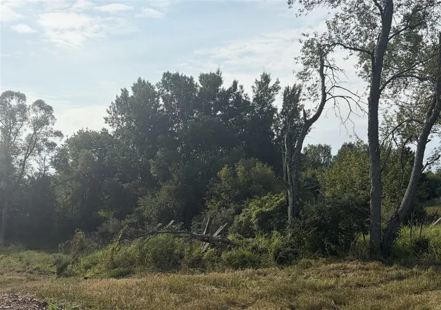 3rd image of 23169 1 Mile Rd, Reed City, MI 49677 | MLS# 70552986