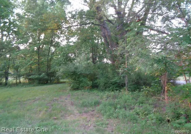 2nd image of 14549 Dacosta St, Detroit, MI 48223 | MLS# 60233045