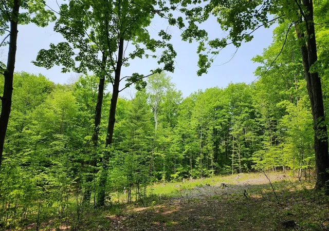 4th image of V/L Ravens Roost, Traverse City, MI 49684 | MLS# 80068212