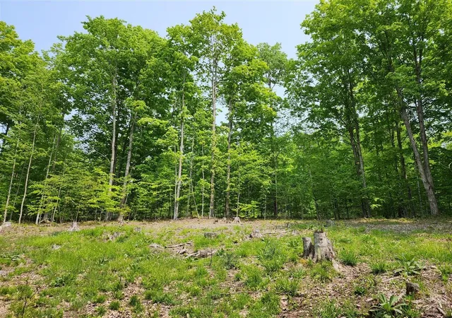 5th image of V/L Ravens Roost, Traverse City, MI 49684 | MLS# 80068212