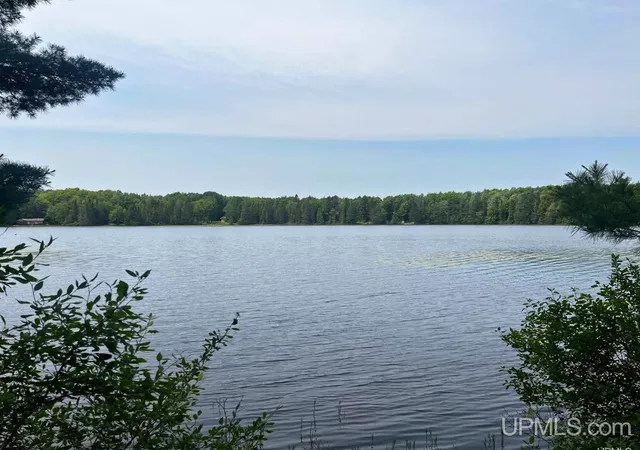 Homes for sale in Republic, MI | Parcel 1 Grant Lake Rd, Republic, MI 49879 | MLS# 50213497