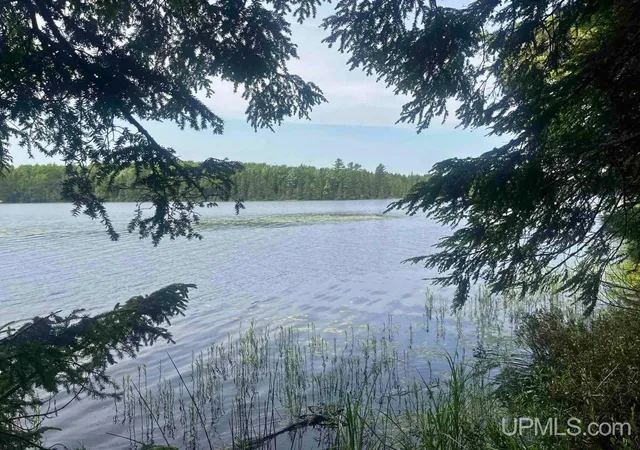 Homes for sale in Republic, MI | Parcel 1 Grant Lake Rd, Republic, MI 49879 | MLS# 50213497
