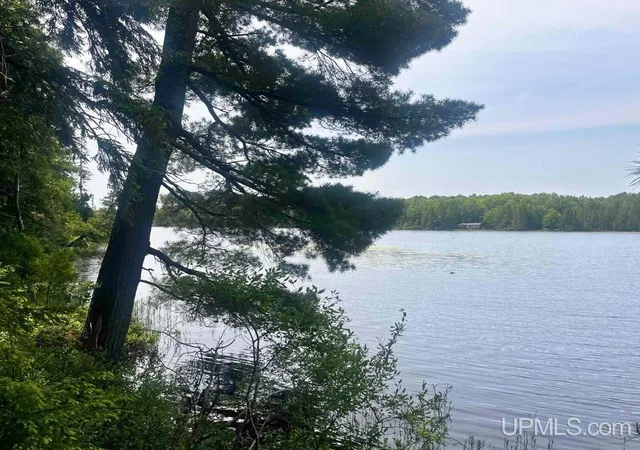 Homes for sale in Republic, MI | Parcel 1 Grant Lake Rd, Republic, MI 49879 | MLS# 50213497